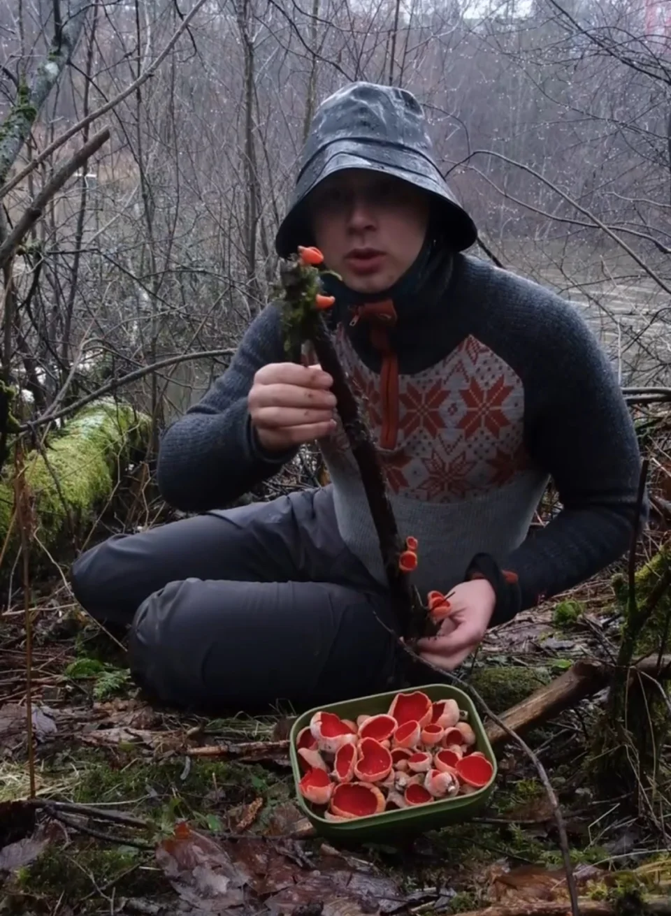 Martin Berggren Nilsen sitter i skogen og holder en grein med røde, skålformede sopper, med en boks med lignende sopper foran seg.