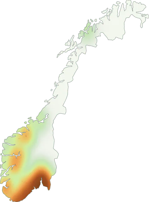 Kart over registrerte observasjoner av gul fluesopp i Norge.