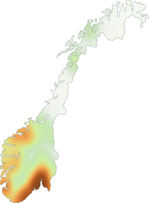 Kart over registrerte observasjoner av ruterørsopp i Norge.