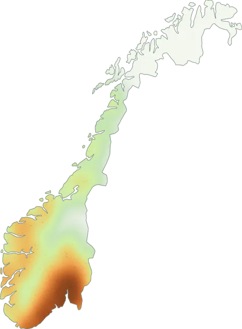 Kart over registrerte observasjoner av svart trompetsopp i Norge.